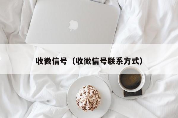 收微信号（收微信号联系方式）